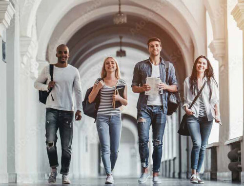 Danube School Series